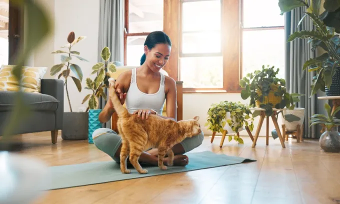 6 Reasons Your Cat Is Peeing Outside the Litter Box and How To Stop It